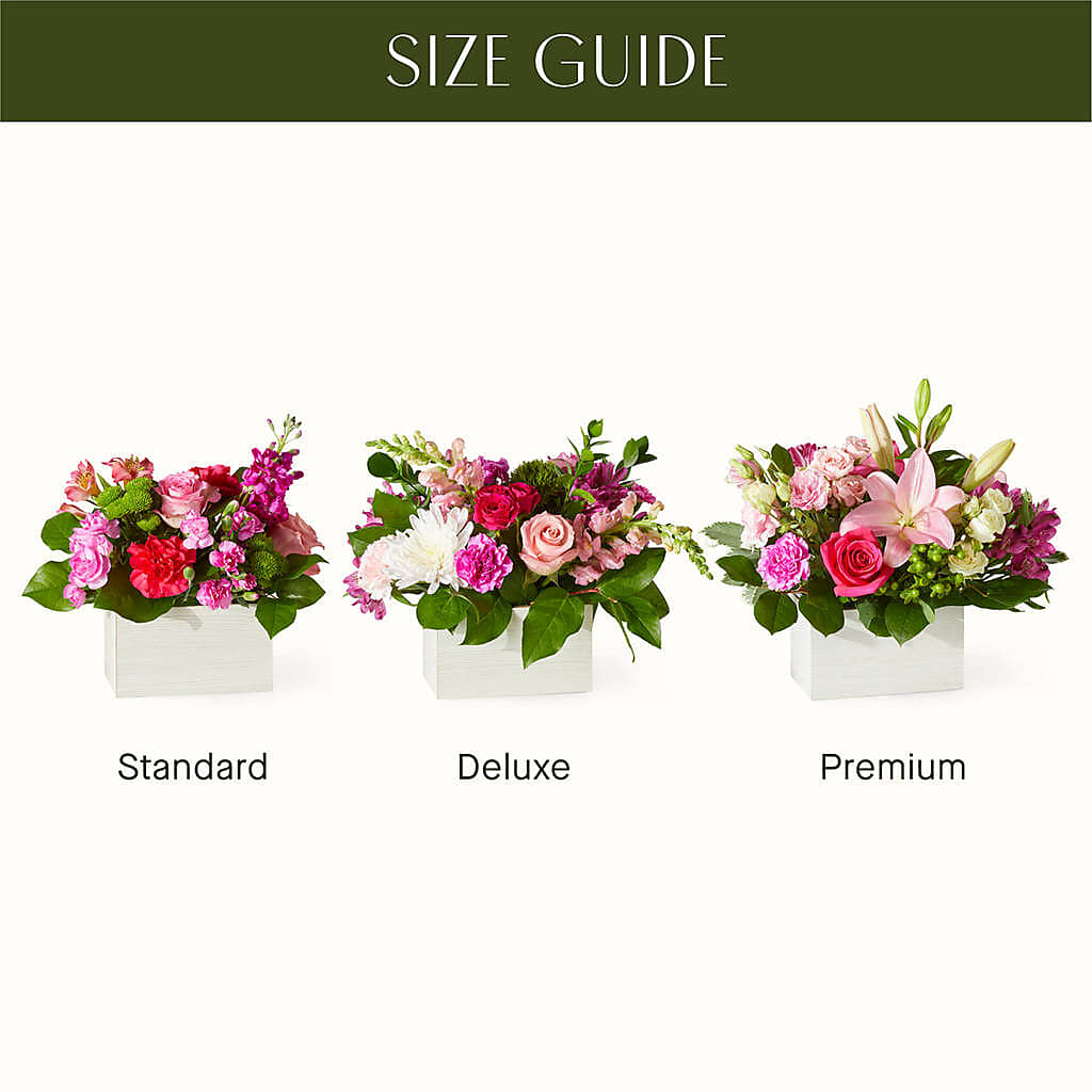 Sweetberry Box – A Florist Original – HORTENSIA'S FLOWERS, Carlsbad CA