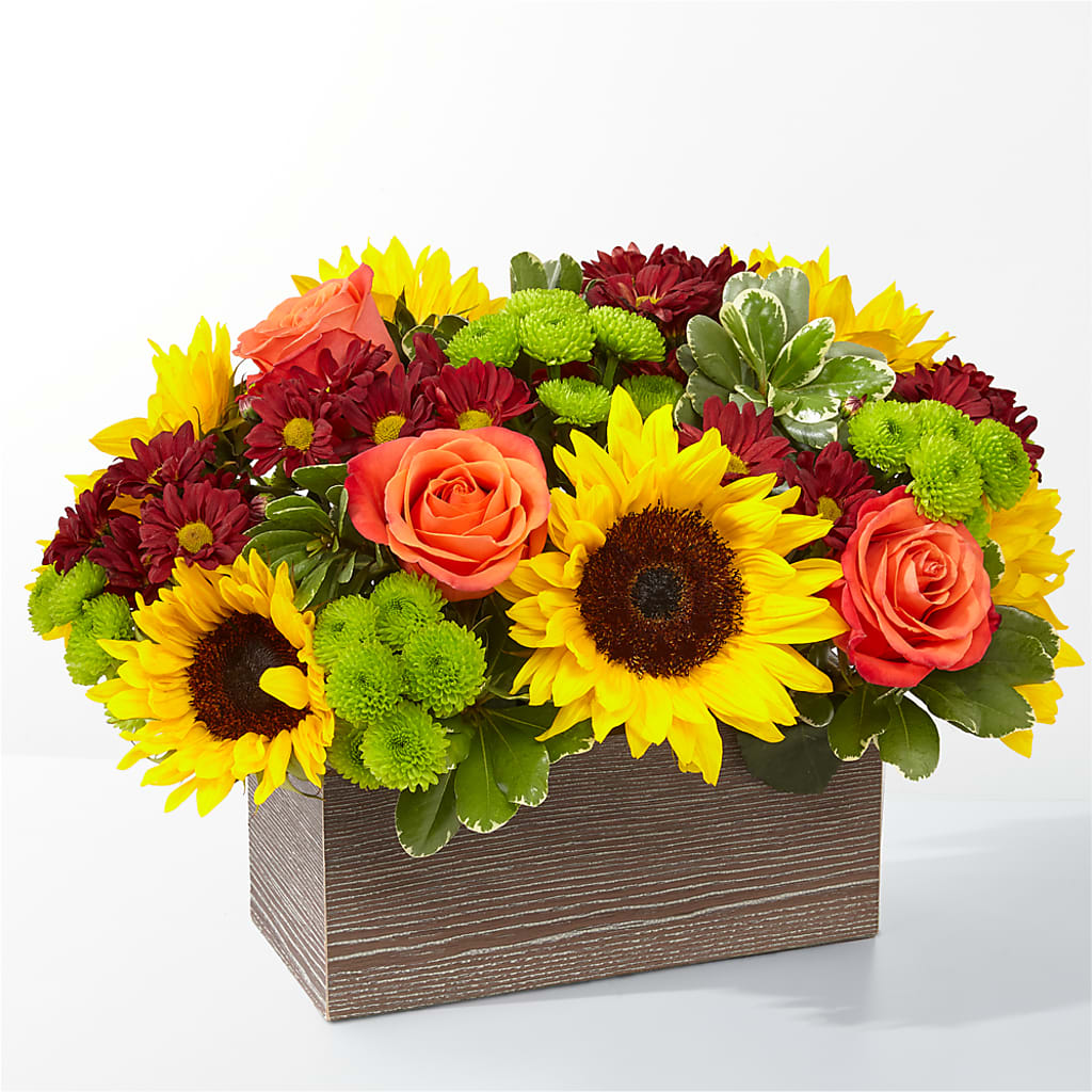 Happy Harvest Garden – HORTENSIA'S FLOWERS, Carlsbad CA
