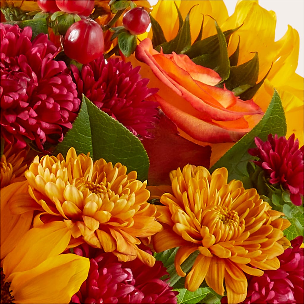 Sweater Season - A Florist Original – HORTENSIA'S FLOWERS, Carlsbad CA