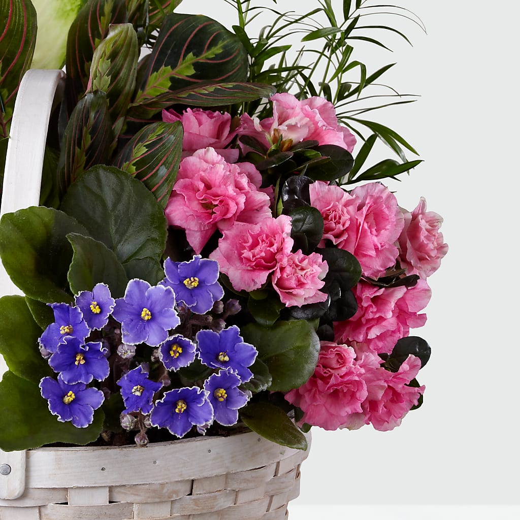 Peaceful Garden Planter – HORTENSIA'S FLOWERS, Carlsbad CA