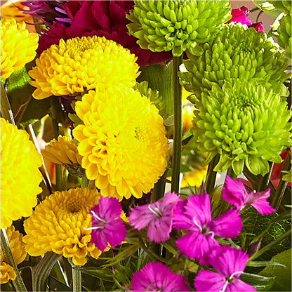 Bold & Bright – A Florist Original – HORTENSIA'S FLOWERS, Carlsbad CA