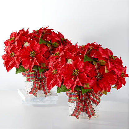 Happiest Holidays Poinsettia Bundle – HORTENSIA'S FLOWERS, Carlsbad CA