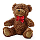 Adorable Plush Bear – HORTENSIA'S FLOWERS, Carlsbad CA
