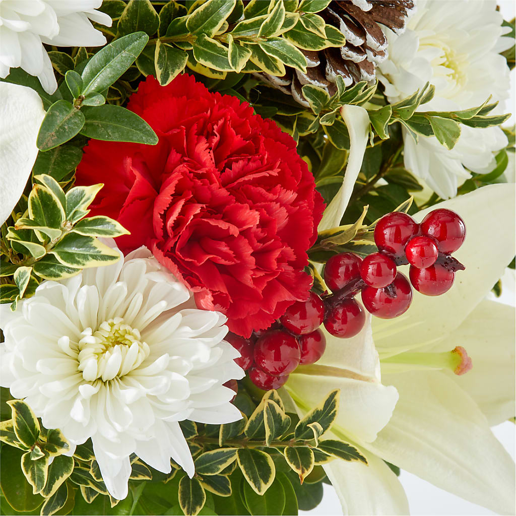 Festive Moments Tree – HORTENSIA'S FLOWERS, Carlsbad CA