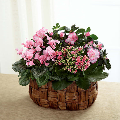 Pink Assortment – HORTENSIA'S FLOWERS, Carlsbad CA