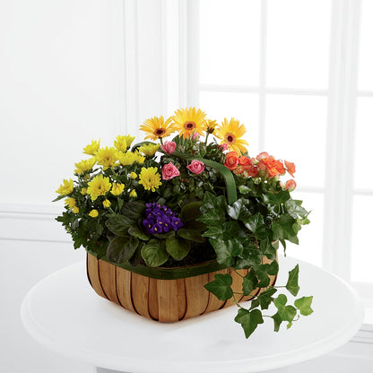 Gentle Blossoms Basket – HORTENSIA'S FLOWERS, Carlsbad CA