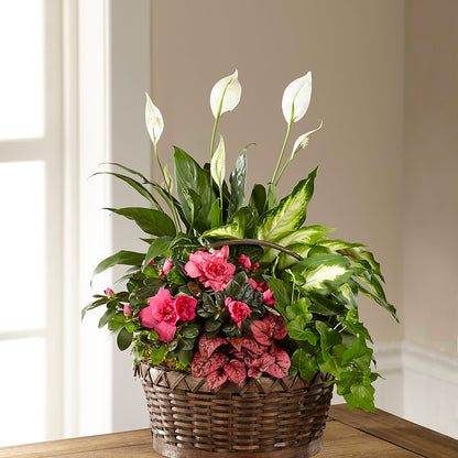 Dream in Pink Dishgarden – HORTENSIA'S FLOWERS, Carlsbad CA