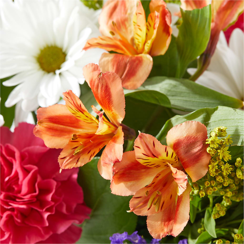 Oopsie Daisy Box Bouquet – HORTENSIA'S FLOWERS, Carlsbad CA