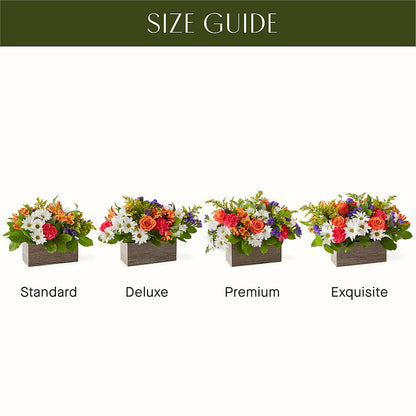 Oopsie Daisy Box Bouquet – HORTENSIA'S FLOWERS, Carlsbad CA