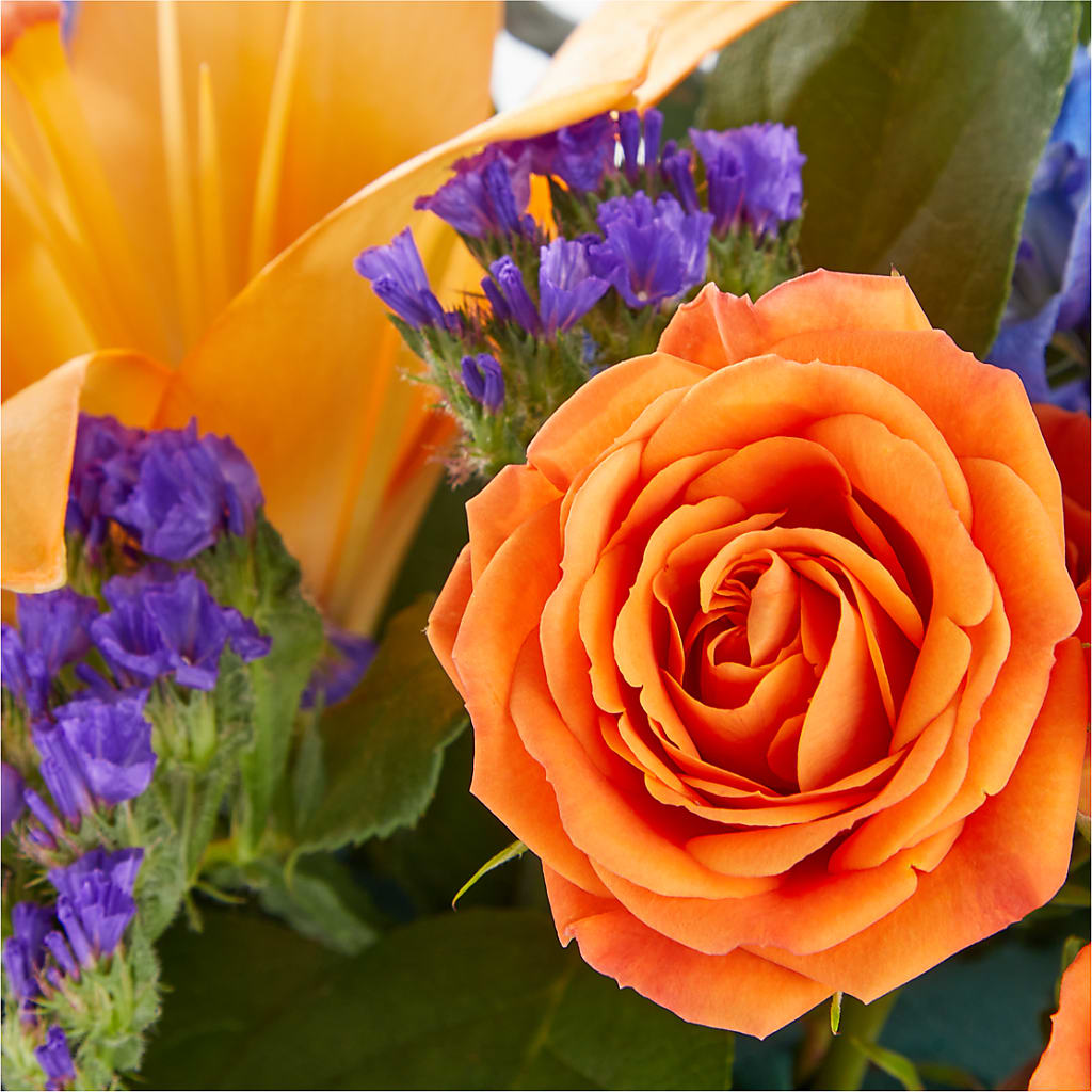 Radiant Citrus Box Bouquet – HORTENSIA'S FLOWERS, Carlsbad CA