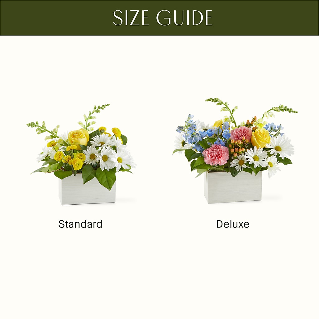 Sun Salutation Box Bouquet – HORTENSIA'S FLOWERS, Carlsbad CA