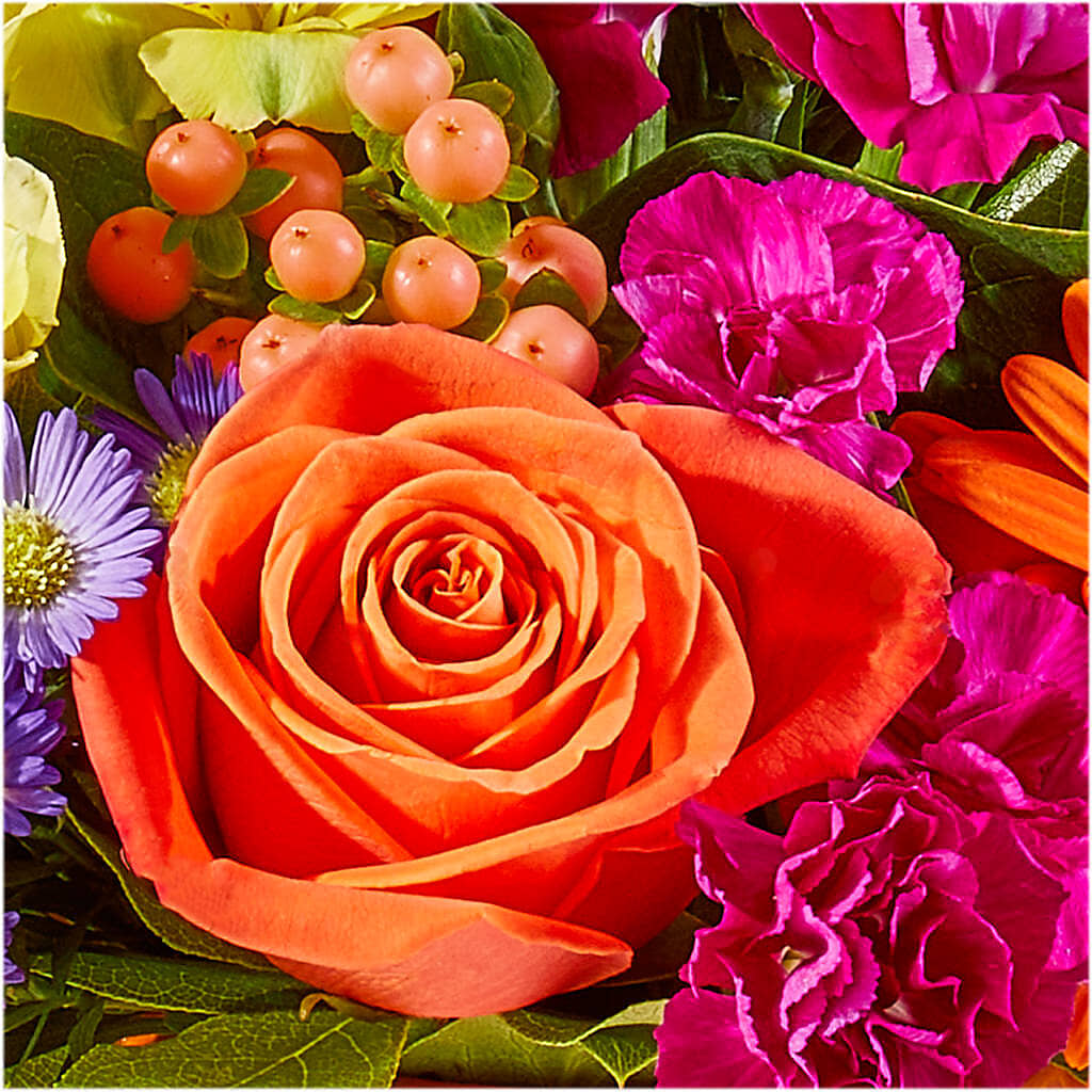Tricks & Treats Pumpkin – HORTENSIA'S FLOWERS, Carlsbad CA
