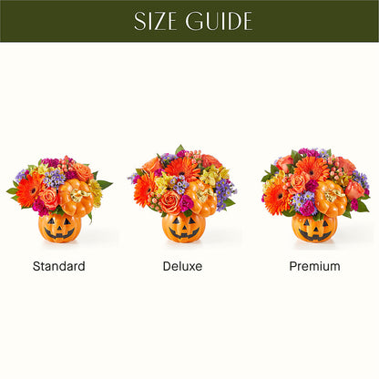 Tricks & Treats Pumpkin – HORTENSIA'S FLOWERS, Carlsbad CA