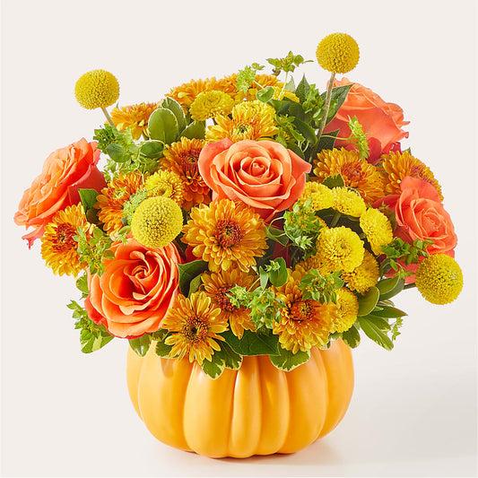 Gourdgeous Pumpkin – HORTENSIA'S FLOWERS, Carlsbad CA