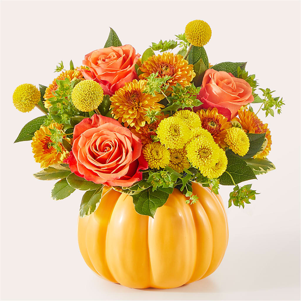 Gourdgeous Pumpkin – HORTENSIA'S FLOWERS, Carlsbad CA