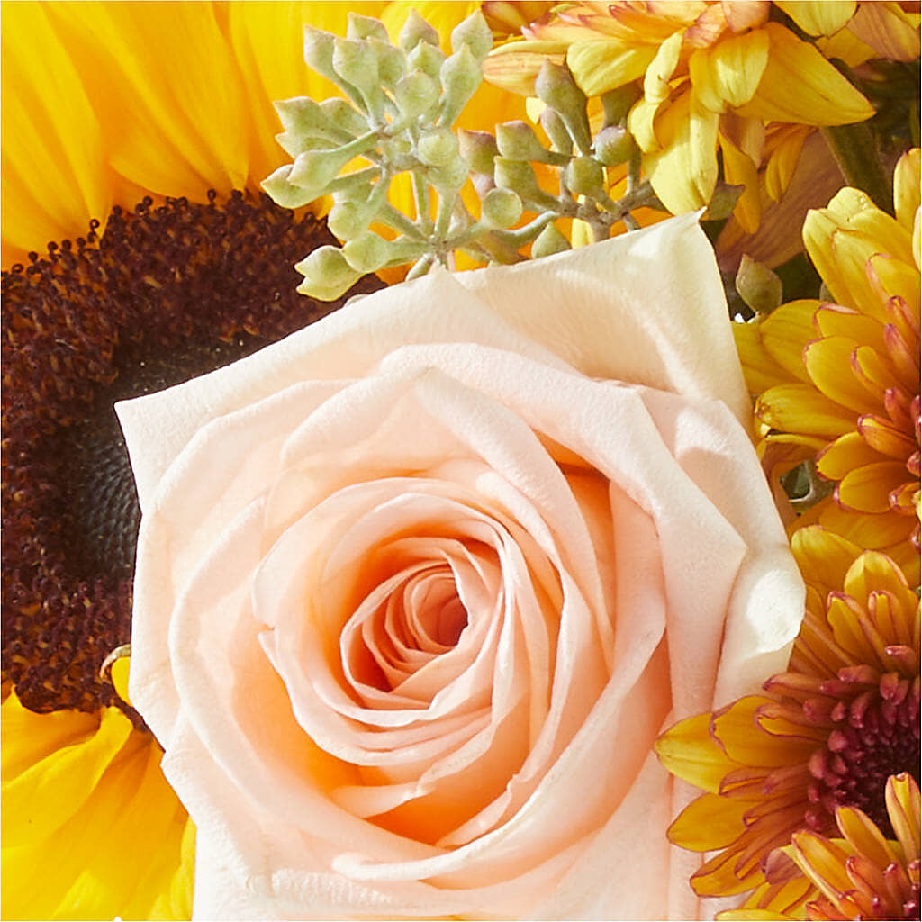 Pumpkin to Talk About Bouquet – HORTENSIA'S FLOWERS, Carlsbad CA