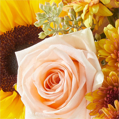 Pumpkin to Talk About Bouquet – HORTENSIA'S FLOWERS, Carlsbad CA