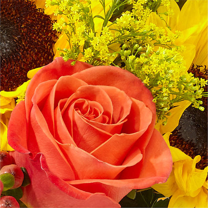 Pick of the Patch Pumpkin Bouquet – HORTENSIA'S FLOWERS, Carlsbad CA