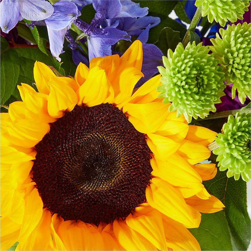 Catching Rays Bouquet – HORTENSIA'S FLOWERS, Carlsbad CA