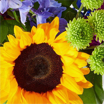 Catching Rays Bouquet – HORTENSIA'S FLOWERS, Carlsbad CA