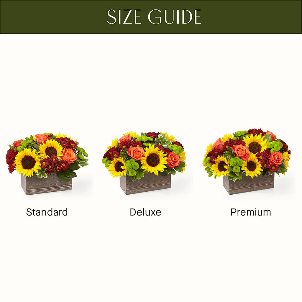 Happy Harvest Garden – HORTENSIA'S FLOWERS, Carlsbad CA