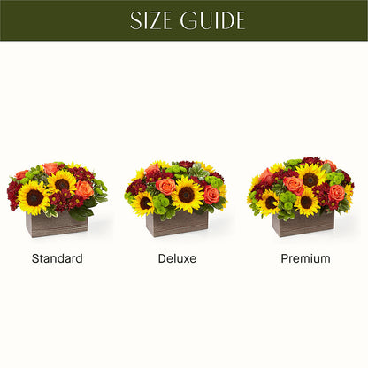 Happy Harvest Garden – HORTENSIA'S FLOWERS, Carlsbad CA