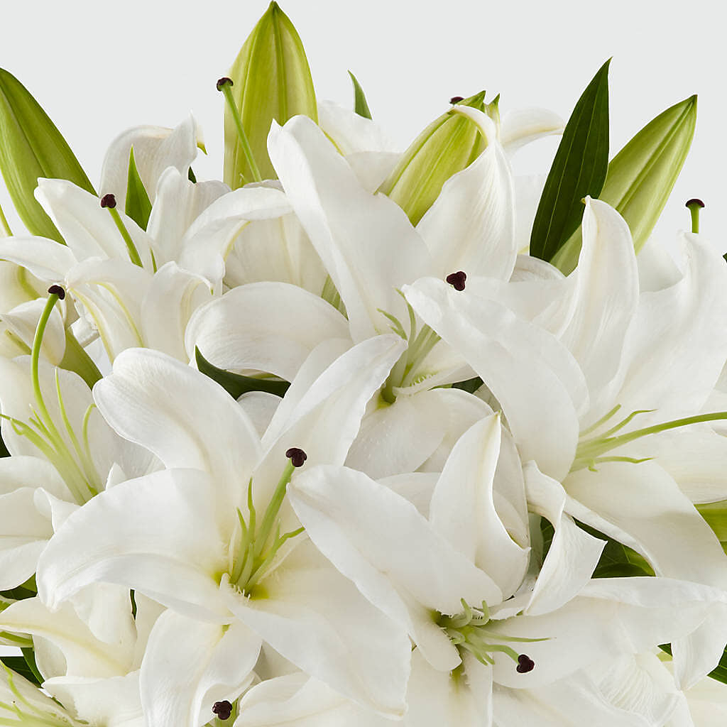 Faithful Blessings Bouquet – HORTENSIA'S FLOWERS, Carlsbad CA