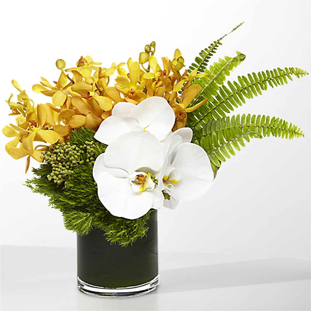 The Tropics – HORTENSIA'S FLOWERS, Carlsbad CA