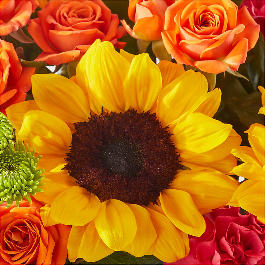 Sun-drenched Blooms Box Bouquet – HORTENSIA'S FLOWERS, Carlsbad CA