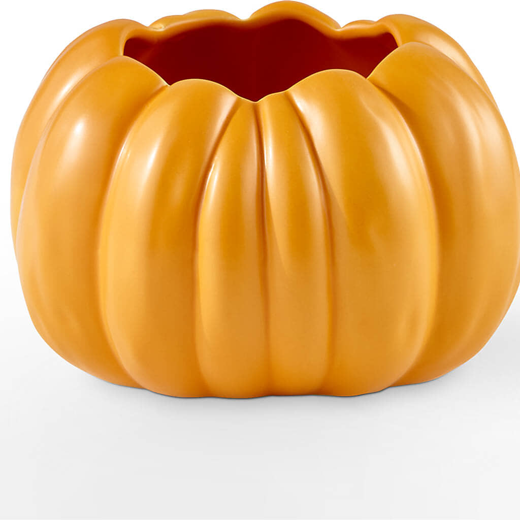 Pick of the Patch Pumpkin Bouquet – HORTENSIA'S FLOWERS, Carlsbad CA