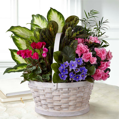 Peaceful Garden Planter – HORTENSIA'S FLOWERS, Carlsbad CA