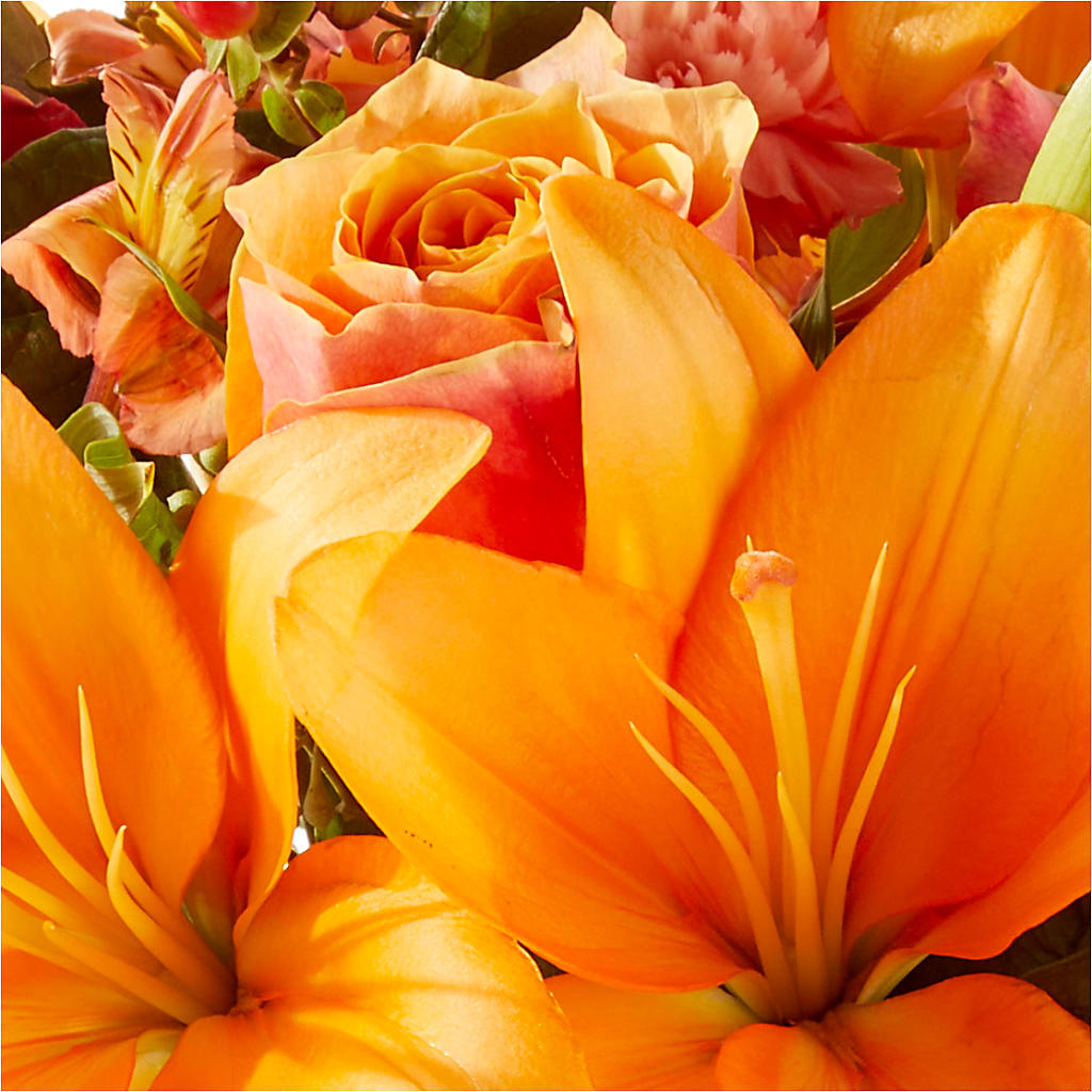 Afternoon Light Bouquet – HORTENSIA'S FLOWERS, Carlsbad CA
