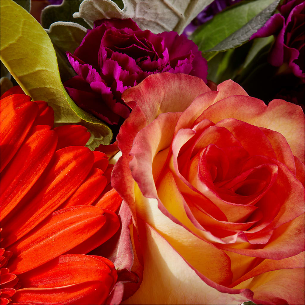 Sangria Bouquet – HORTENSIA'S FLOWERS, Carlsbad CA