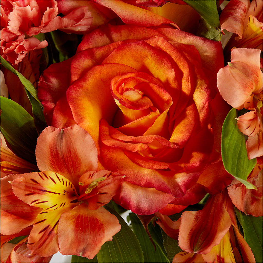 Apricot Glow Bouquet – HORTENSIA'S FLOWERS, Carlsbad CA