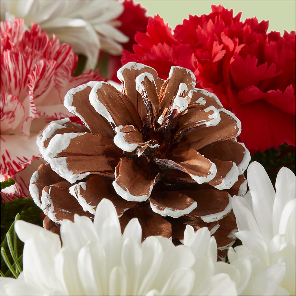 Candy Cane Lane Bouquet – HORTENSIA'S FLOWERS, Carlsbad CA