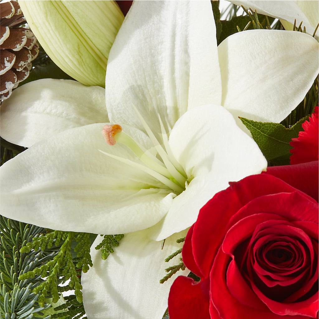 Oh So Jolly Bouquet – HORTENSIA'S FLOWERS, Carlsbad CA