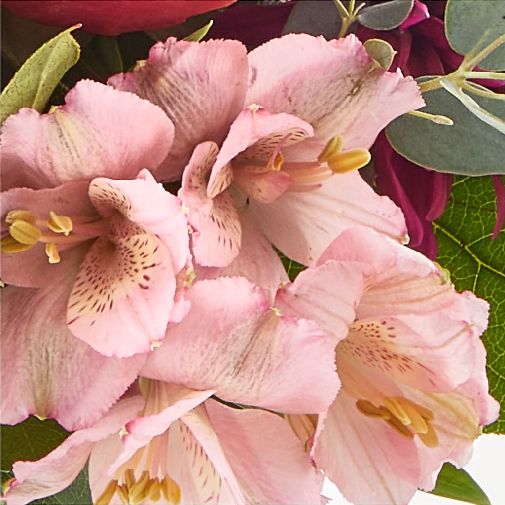 Berry Cobbler Bouquet – HORTENSIA'S FLOWERS, Carlsbad CA