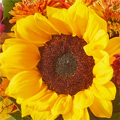 Sunny Side Bouquet – HORTENSIA'S FLOWERS, Carlsbad CA