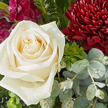 Cranberry Fizz Bouquet – HORTENSIA'S FLOWERS, Carlsbad CA