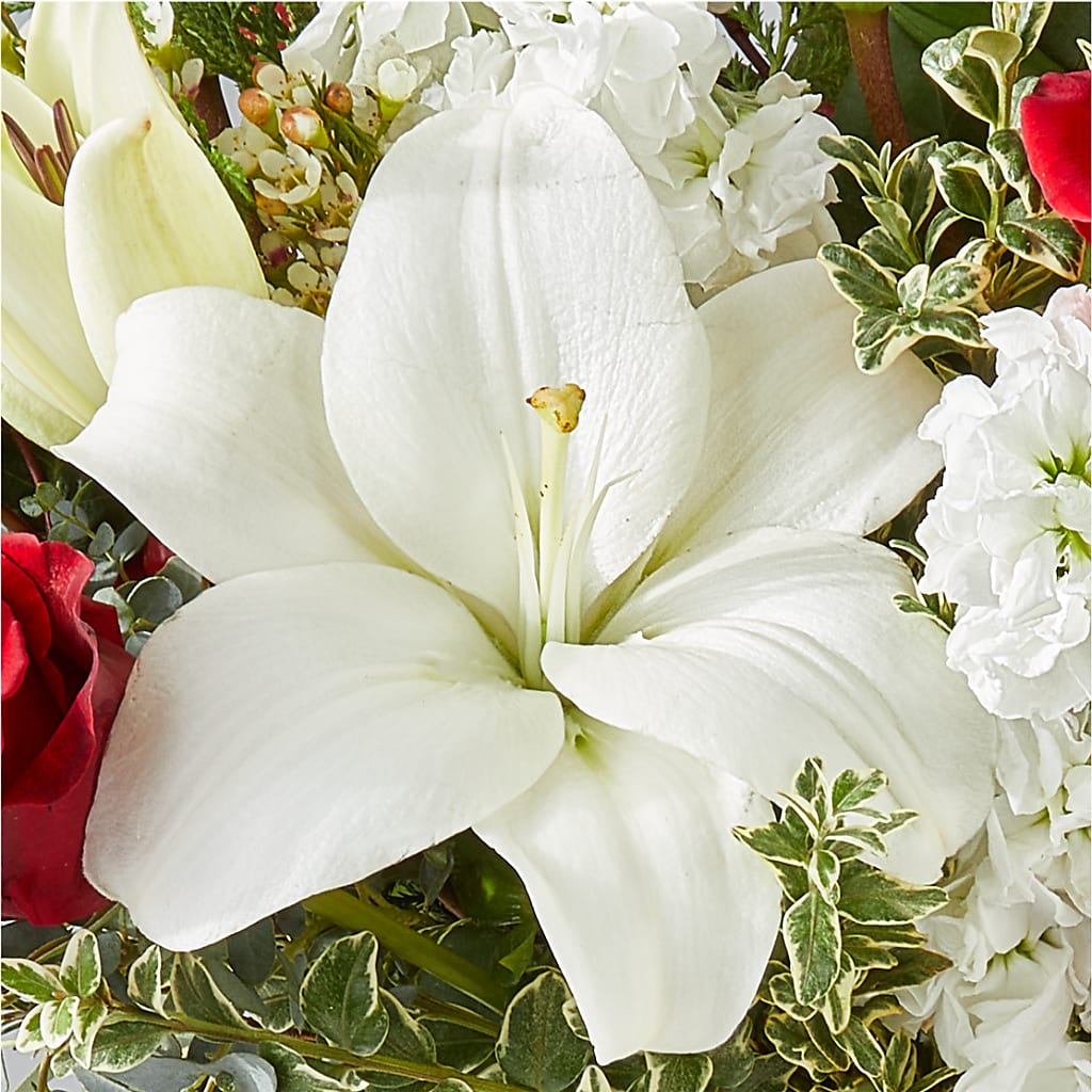 Twinkle Lights Bouquet – HORTENSIA'S FLOWERS, Carlsbad CA