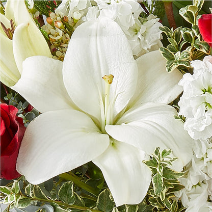 Twinkle Lights Bouquet – HORTENSIA'S FLOWERS, Carlsbad CA