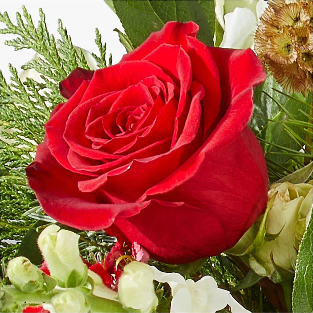 Deck the Halls Bouquet – HORTENSIA'S FLOWERS, Carlsbad CA