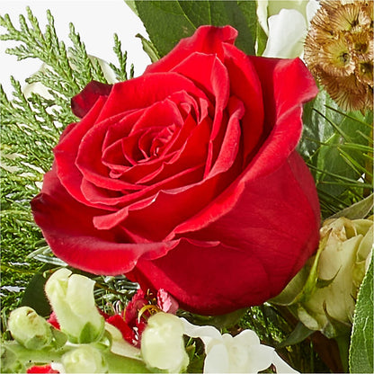 Deck the Halls Bouquet – HORTENSIA'S FLOWERS, Carlsbad CA