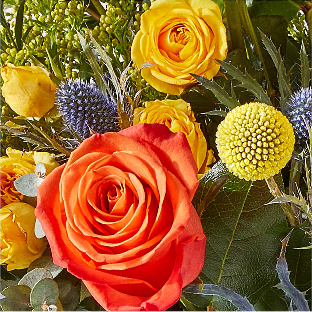 Disco Bouquet – HORTENSIA'S FLOWERS, Carlsbad CA
