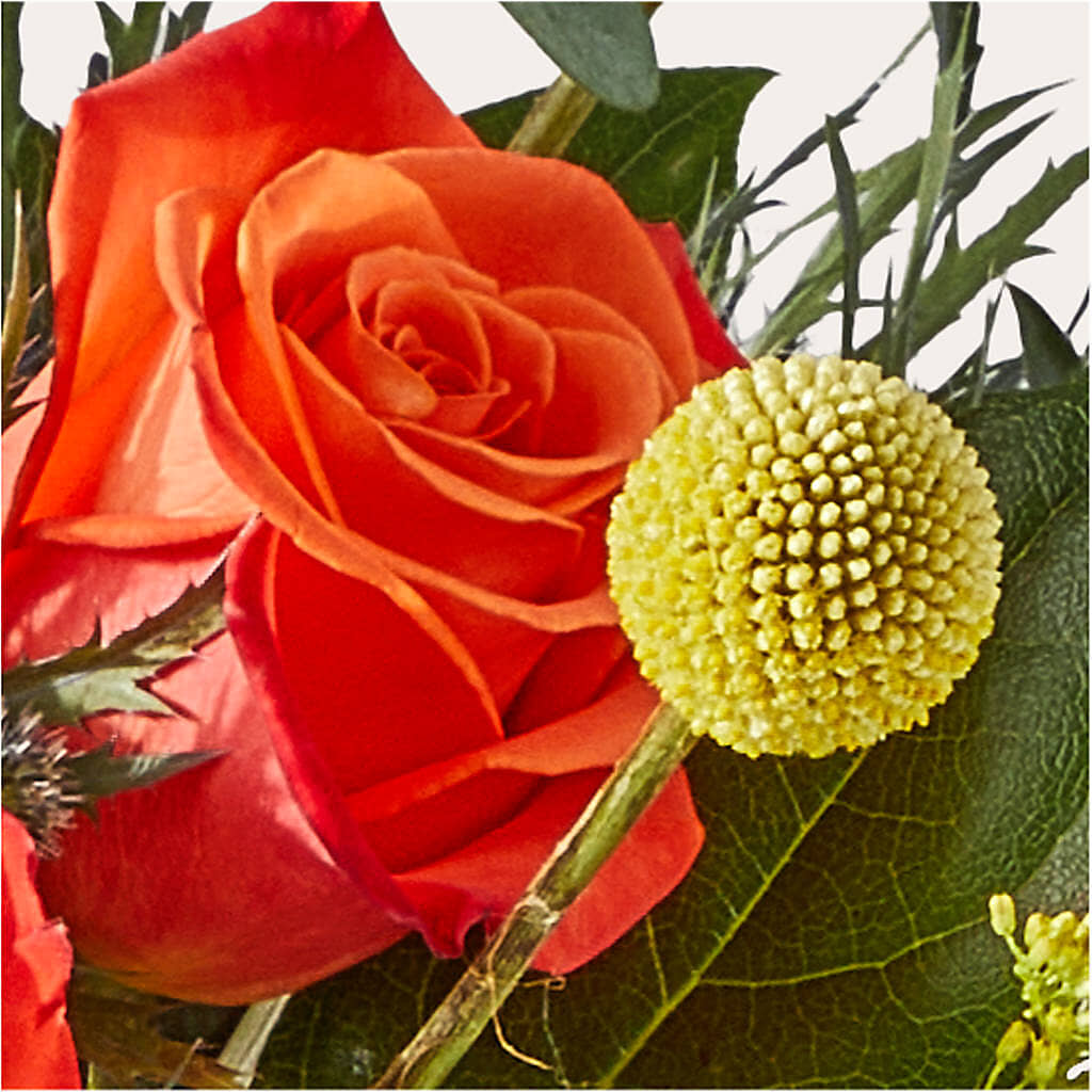Disco Bouquet – HORTENSIA'S FLOWERS, Carlsbad CA
