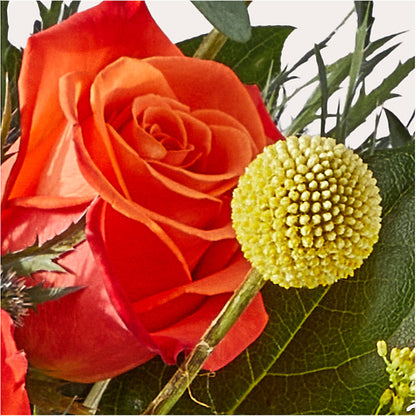 Disco Bouquet – HORTENSIA'S FLOWERS, Carlsbad CA