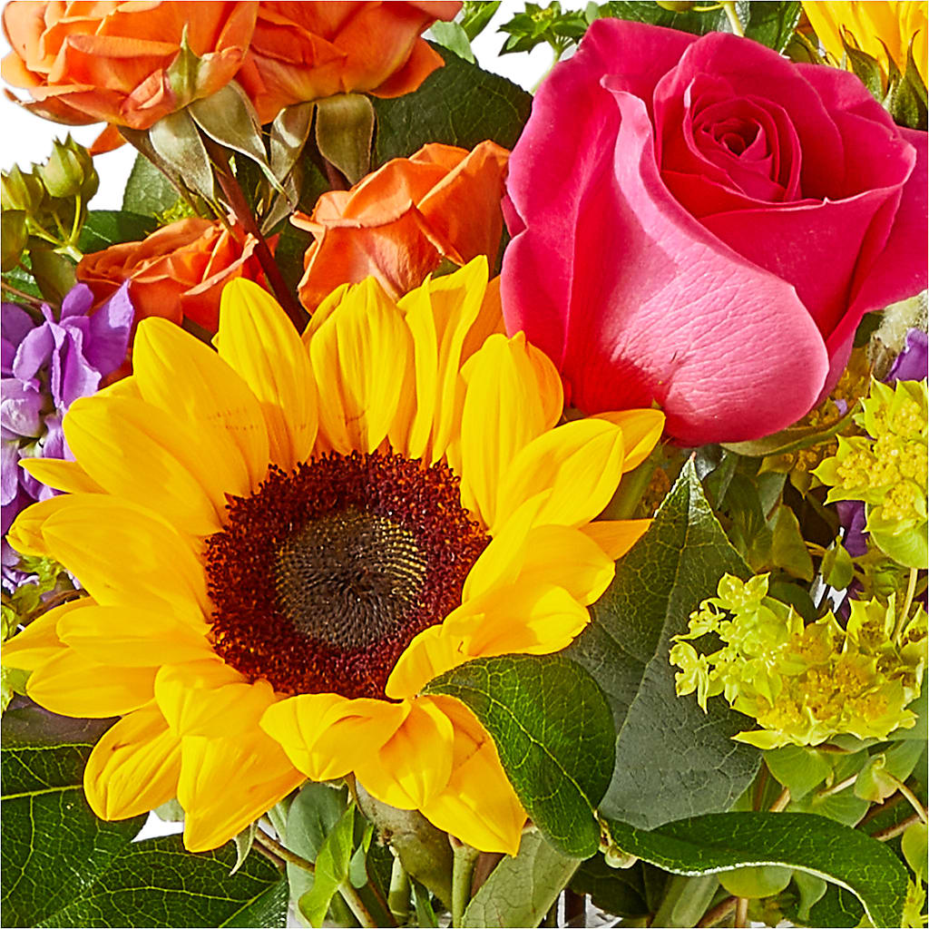Vibrant Greetings Bouquet – HORTENSIA'S FLOWERS, Carlsbad CA