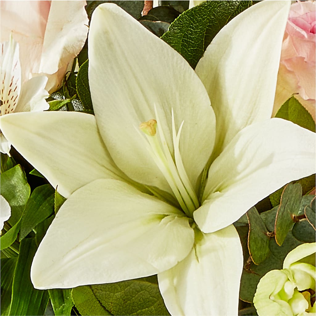 Ballet Slippers Bouquet – HORTENSIA'S FLOWERS, Carlsbad CA