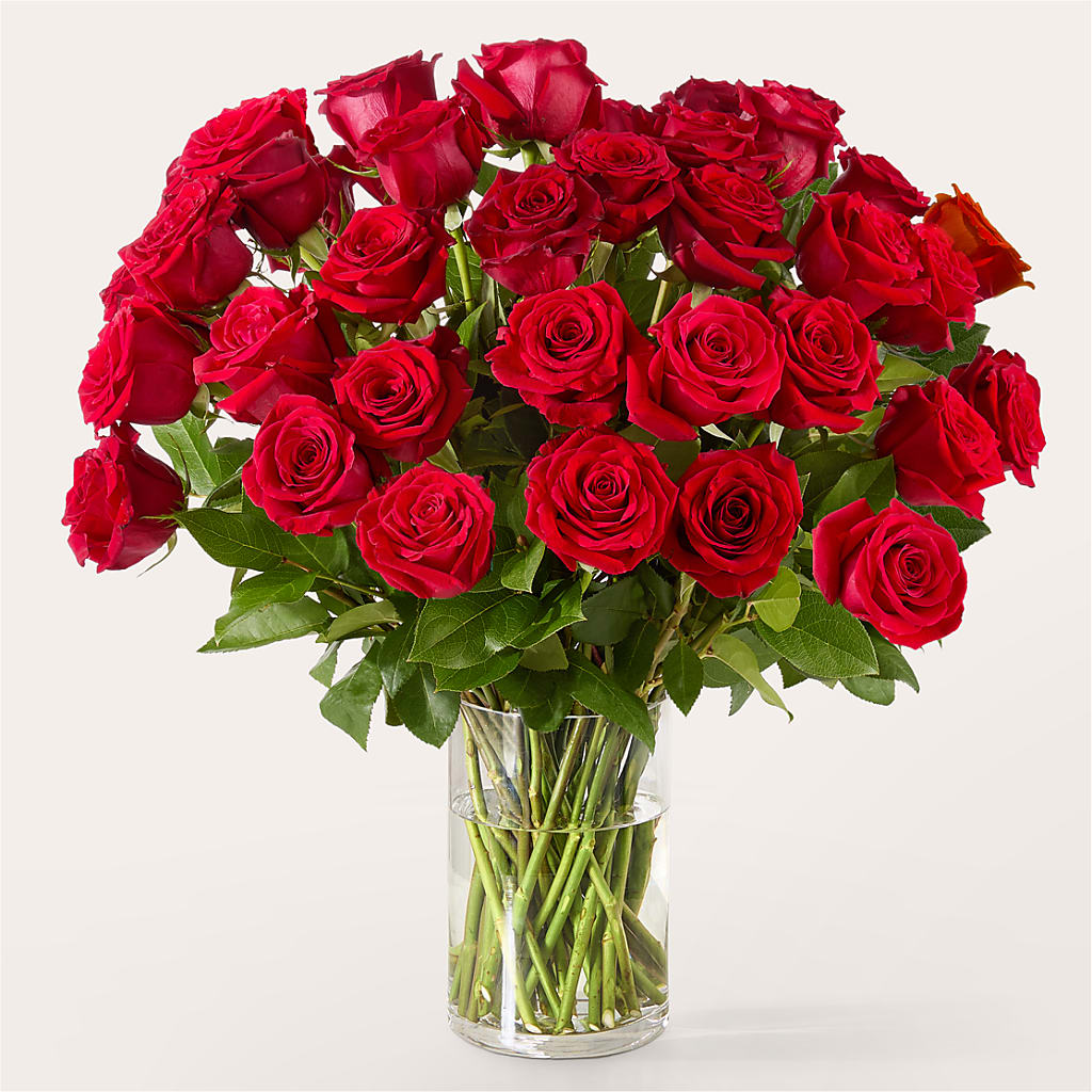 The One Red Rose Bouquet – HORTENSIA'S FLOWERS, Carlsbad CA