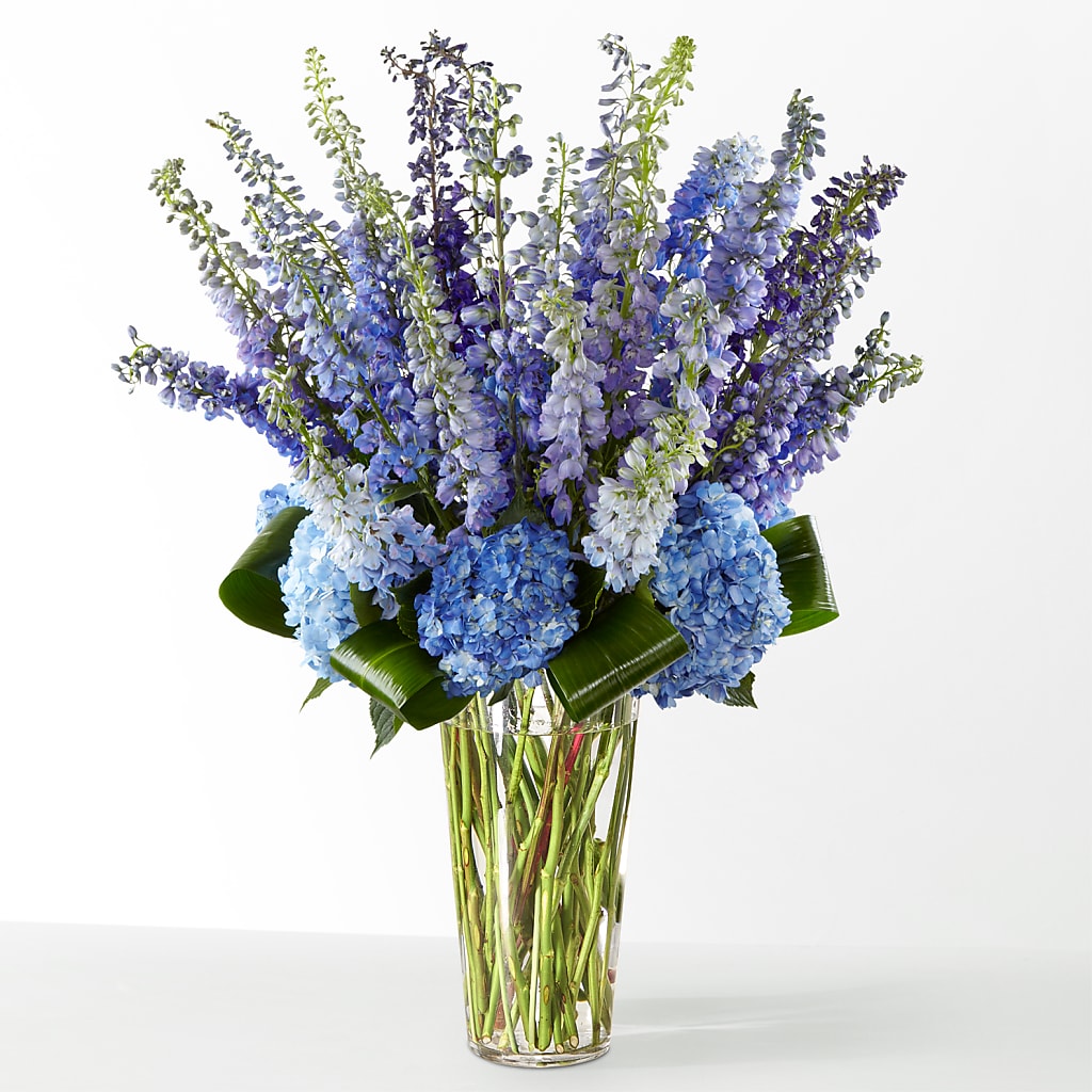 The Editorial – HORTENSIA'S FLOWERS, Carlsbad CA